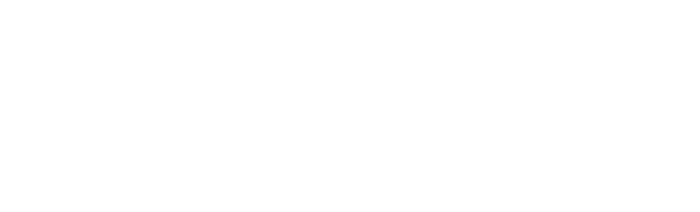 Ferocart logo